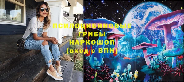амф Новодвинск