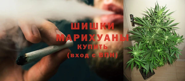 амф Новодвинск