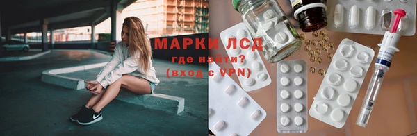 спиды Новозыбков
