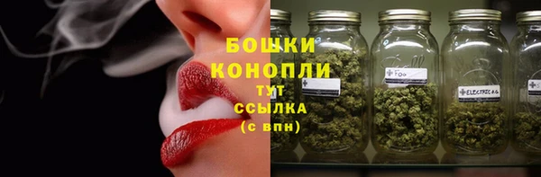 спиды Новозыбков
