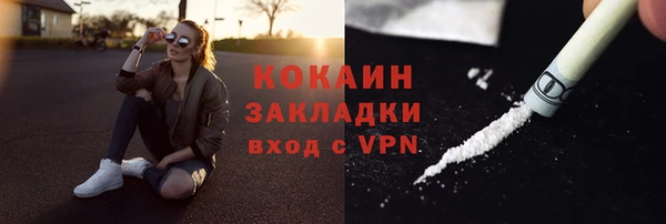 амф Новодвинск