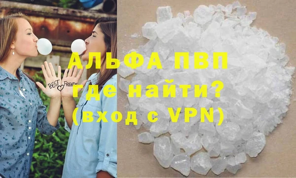 прущие грибы Няндома