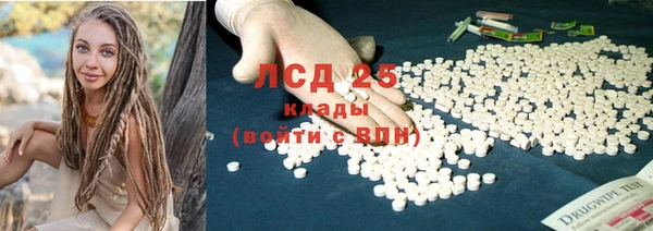 амф Новодвинск