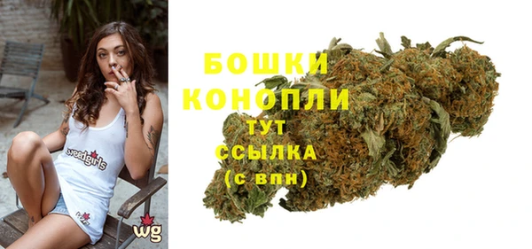 амф Новодвинск