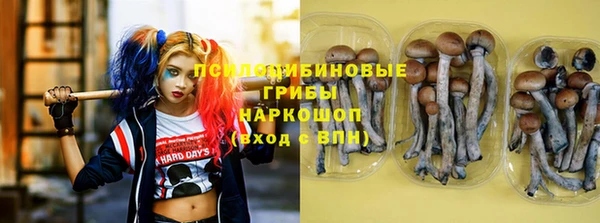 не бодяженный Новокубанск