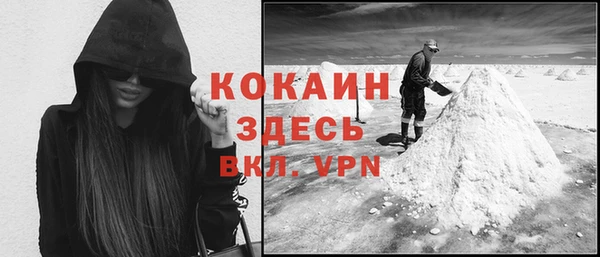 прущие грибы Няндома